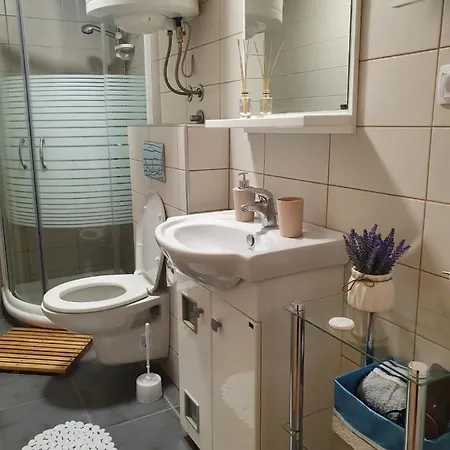 Апартаменты Zora Златибор