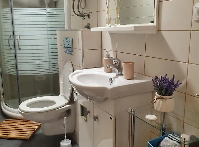 Апартаменты Zora Златибор